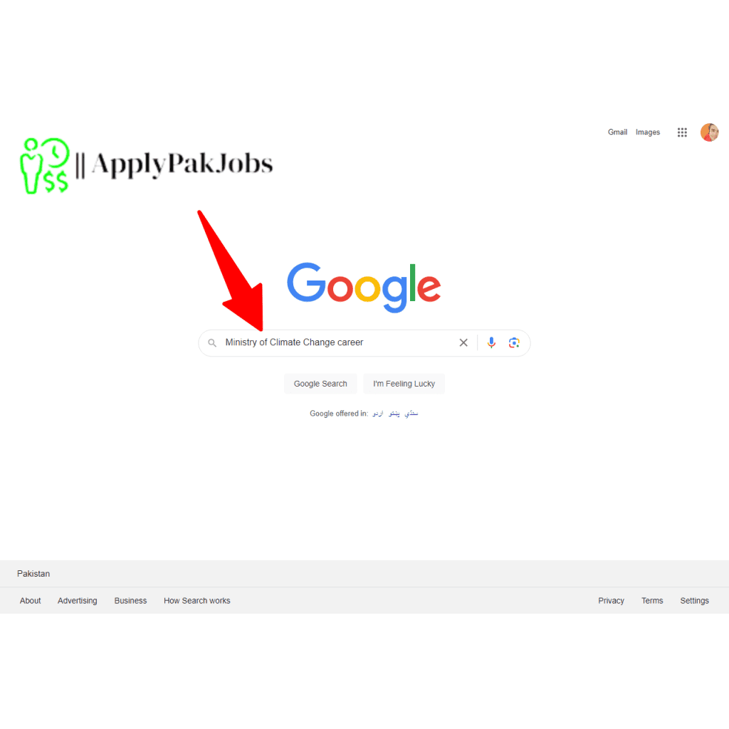 Latest Ministry Of Climate Change Jobs 2023 | Online Apply